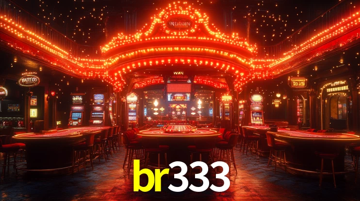 br333 App Interface